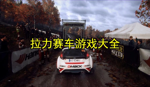 拉力赛车游戏大全