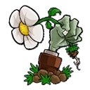 植物大战僵尸BT拓展最新版