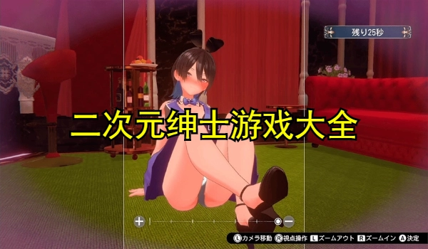 二次元绅士游戏