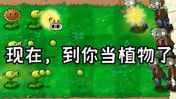 植物大战僵尸繁琐版下载安装