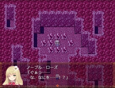 魔法少女诺布尔小熊移植