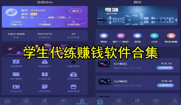 学生代练赚钱软件