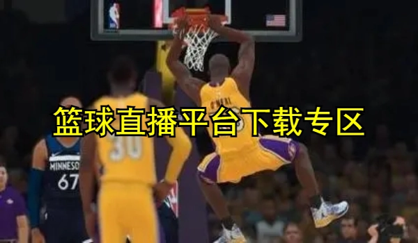 篮球直播平台