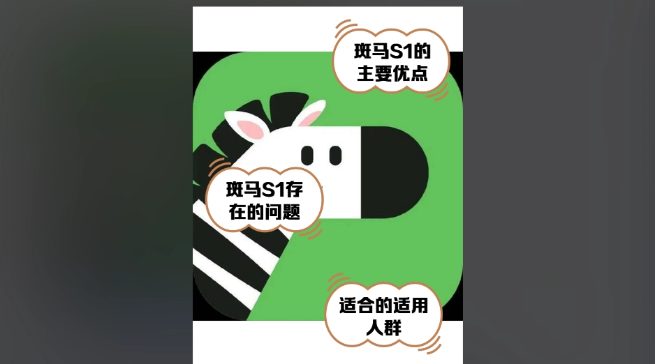 斑马视频版本大全