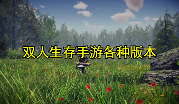双人生存手游