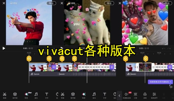 vivacut