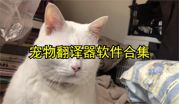 宠物翻译器软件合集