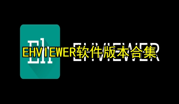 EHVIEWER软件版本合集