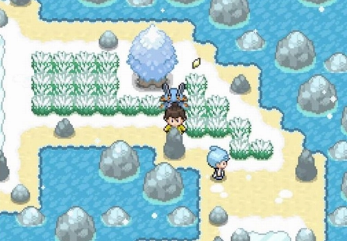 宝可梦武士道安卓汉化版下载