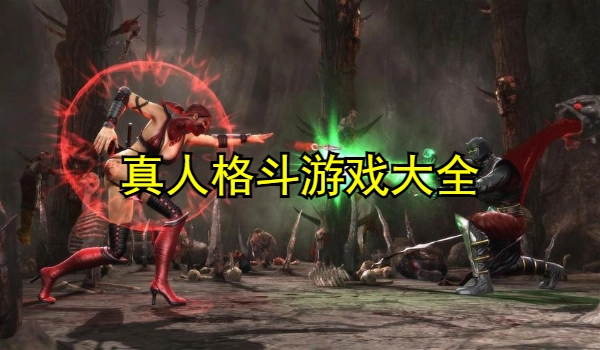 真人格斗游戏大全