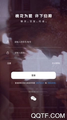 初见桃花社交安卓版4
