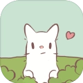 猫咪和汤正版