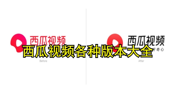 西瓜视频各种版本大全