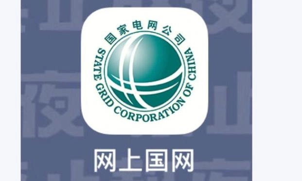 网上国网