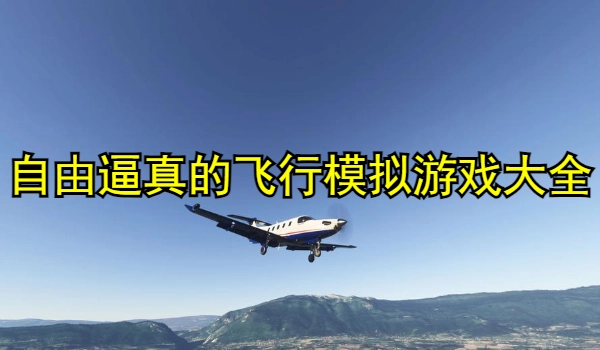 自由逼真的飞行模拟游戏