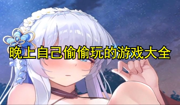 晚上自己偷偷玩的游戏