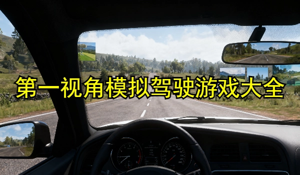 第一视角模拟驾驶游戏