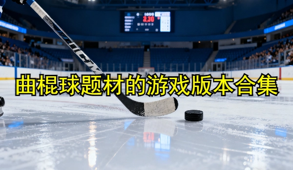 曲棍球题材的游戏