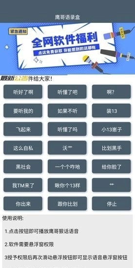 鹰哥语音包最新版下载