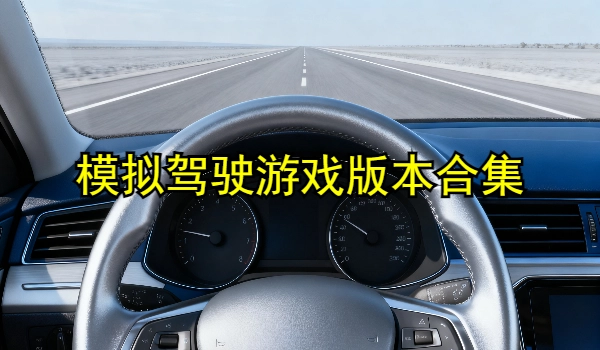 模拟驾驶游戏