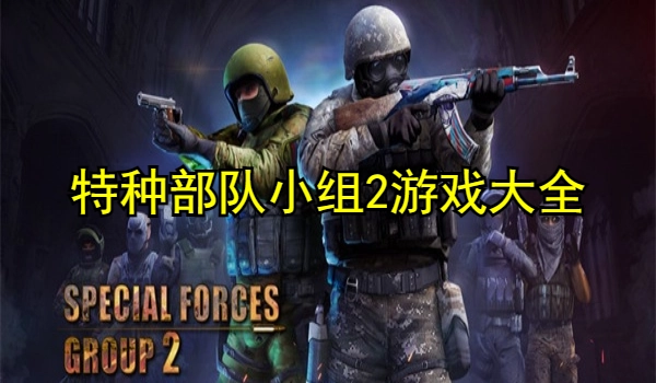 特种部队小组2