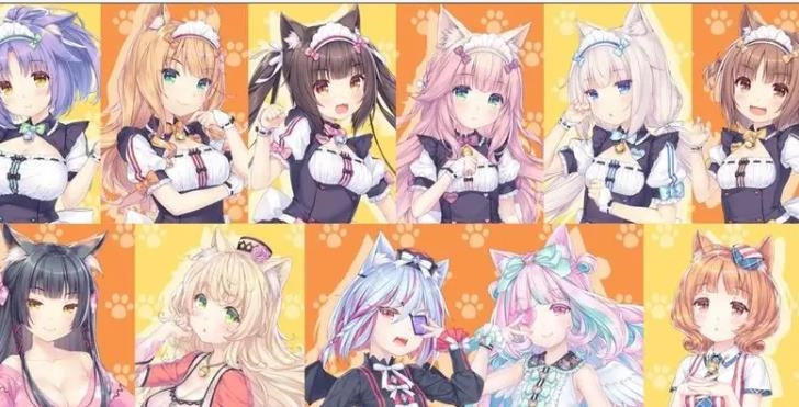 猫娘乐园