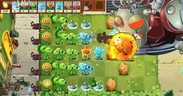 植物大战僵尸转基因版