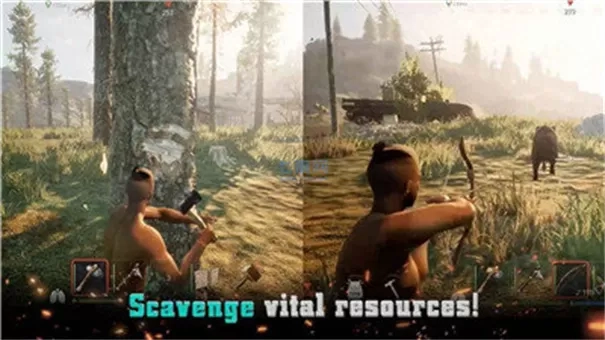 projectz官方正版