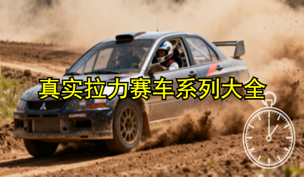 真实拉力赛车系列游戏大全