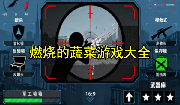 燃烧的蔬菜游戏大全