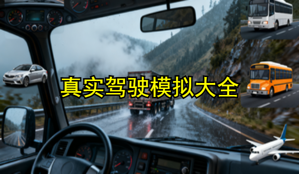 真实驾驶模拟