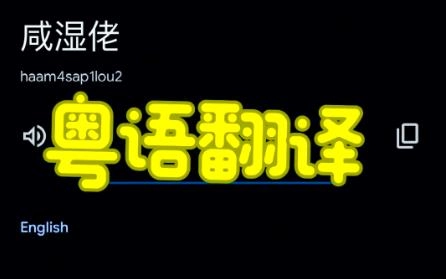 粤语翻译器