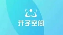 芥子空间