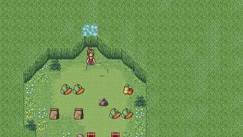 不可思议之国的冒险酒场汉化版