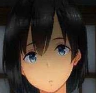 summer田舍生活手机版