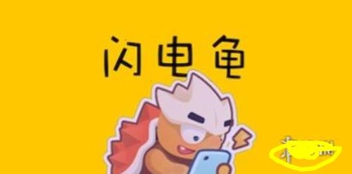 闪电龟