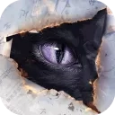 黑猫奇闻社手机版