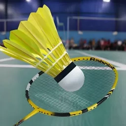 超级羽毛球大师