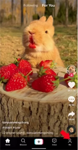 tiktok极速版怎么用