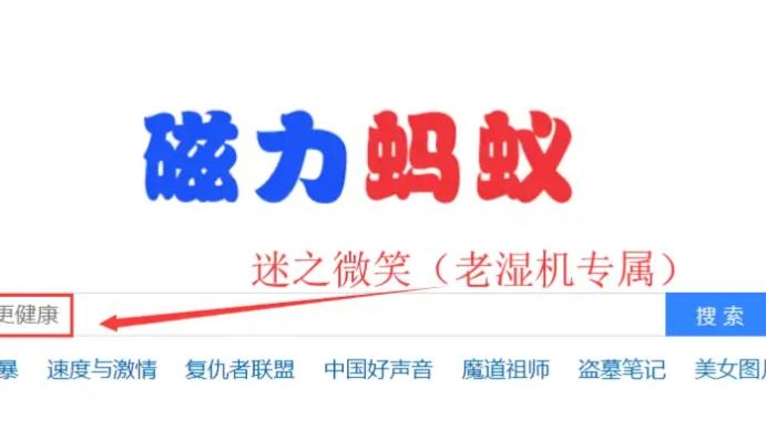 蚂蚁磁力