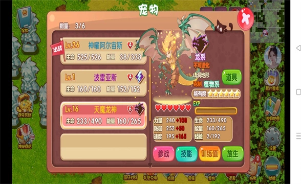 宠物王国