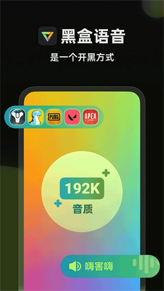 黑盒语音1