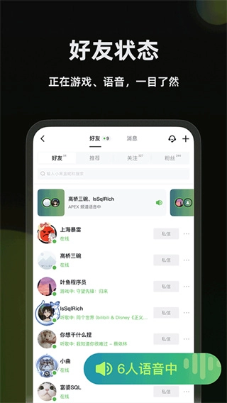 黑盒语音5