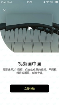 小猪视频2