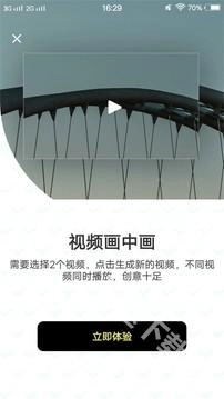 小猪视频正版下载
