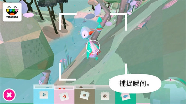 托卡大自然1