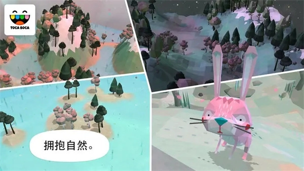 托卡大自然4