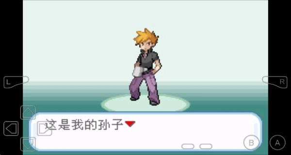 口袋妖怪叶绿3