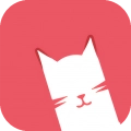猫咪视频