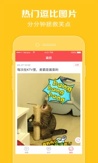 猫咪视频免费版下载